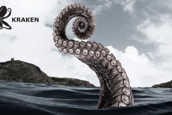 Kraken даркнет переходник