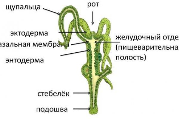 Кракен зеркало 2kraken biz